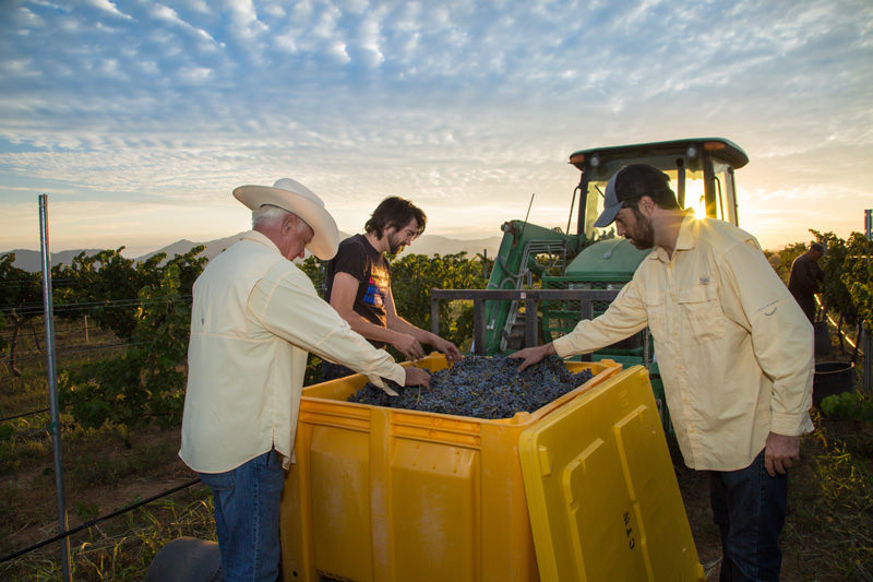 carlsons tractor grapes