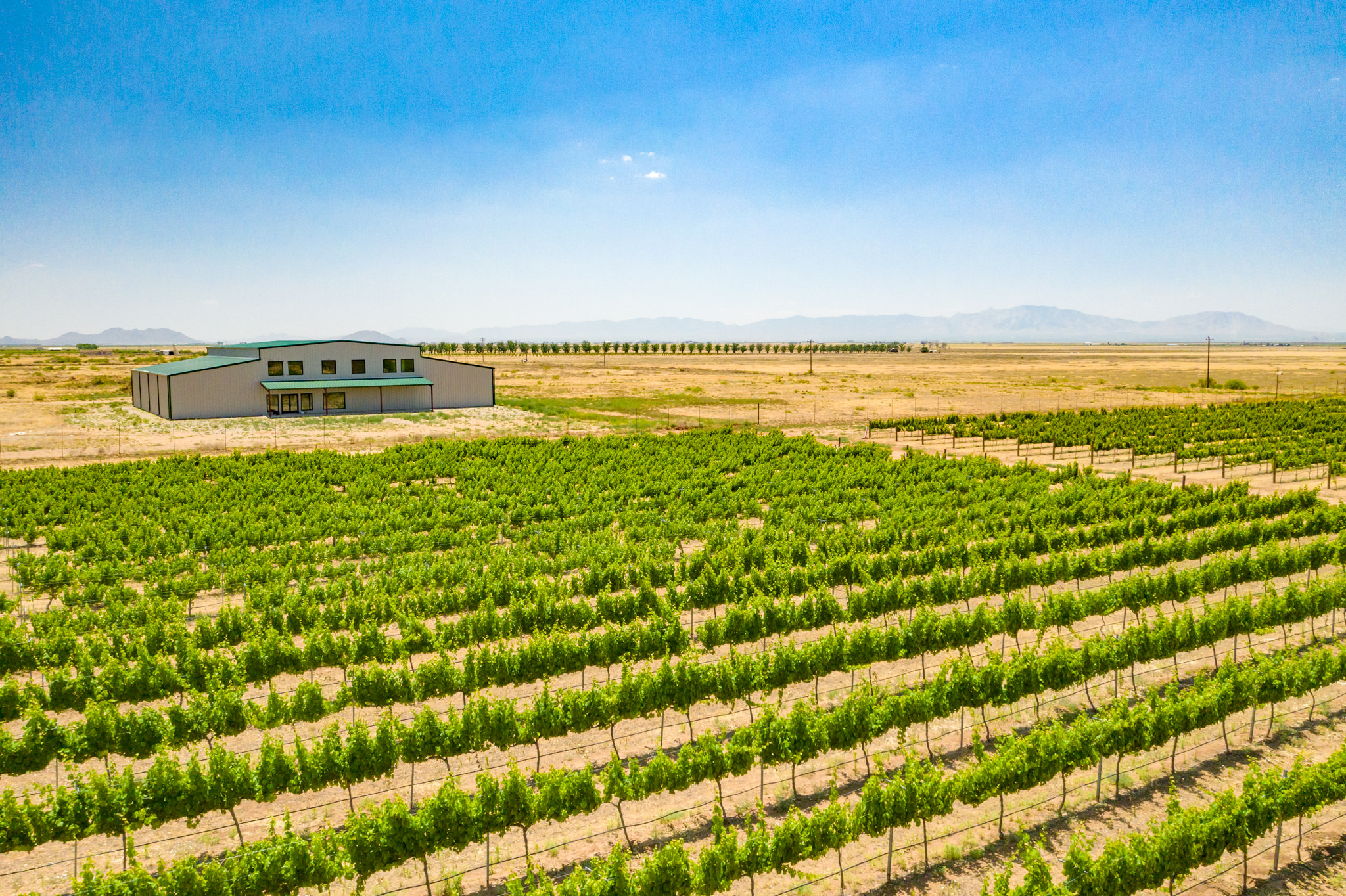 Carlson Creek winery overview