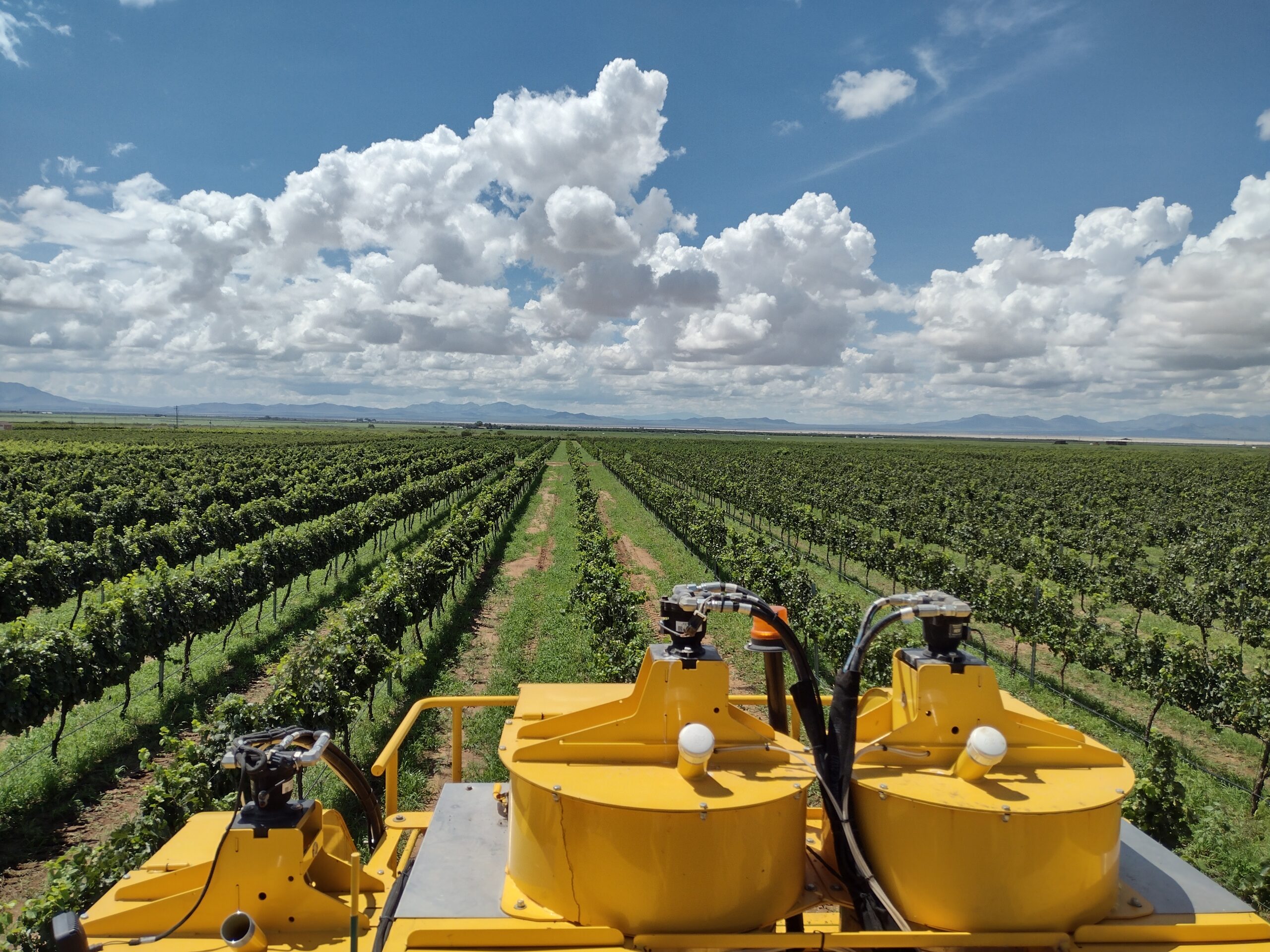 Carlson Creek vineyard seen from the top of an OXBO mechanical Grape harvester